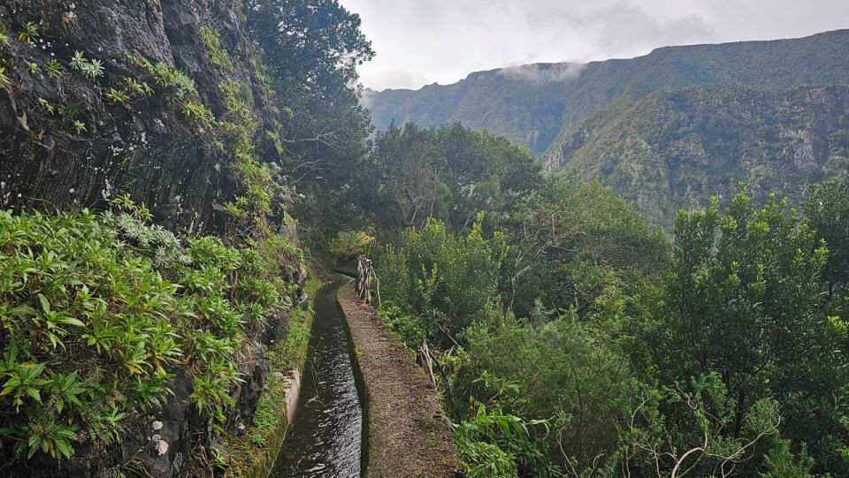 Levada Dos Tornos-Boaventura by Overland Madeira”