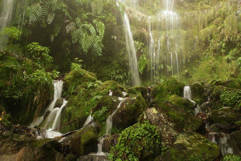 Levada Walk and Caldeirao Verde Waterfalls: Madeira