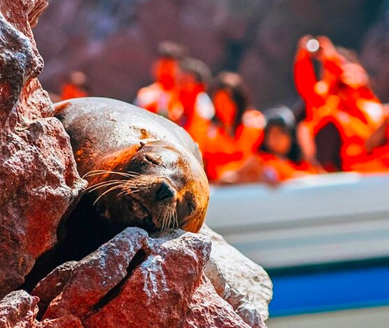 Lima: Day Bus Tour to Paracas & Hacienda San Jose Tunnels - Overview of the Tour