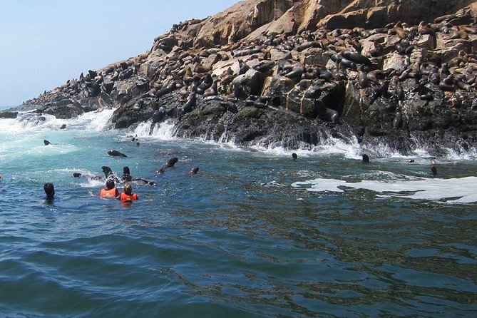 Lima: Palomino Islands Excursion & Swimming With Sea Lions With Hotel Transfers - Tour Overview