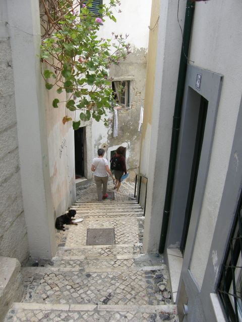 Lisbon: Alfama and São Jorge Castle Quarters Walking Tour