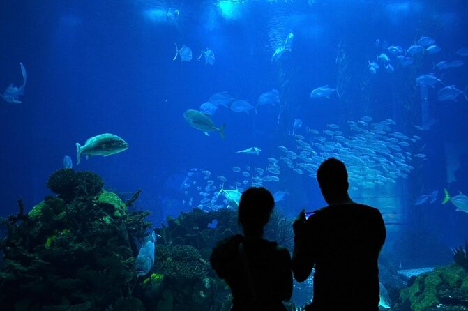 Lisbon Oceanario: Aquarium Entrance Ticket