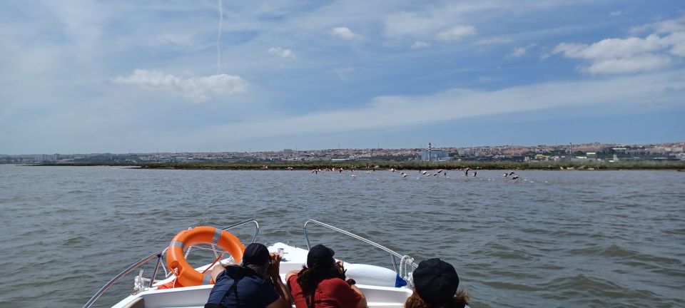 Lisbon: Tagus Estuary Nature Reserve Birdwatching Boat Tour