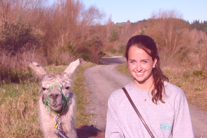 Llama Trek (Taster) – Kowhai River Valley and Native Woodland Tour