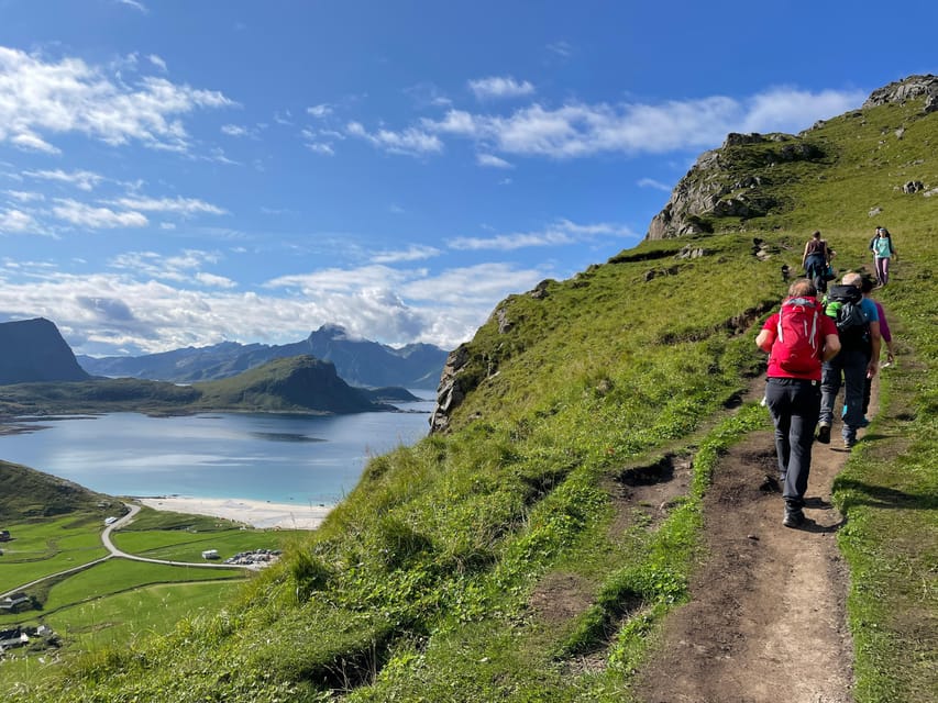 Lofoten: Private Tour for Cruise Visitors (From Leknes)