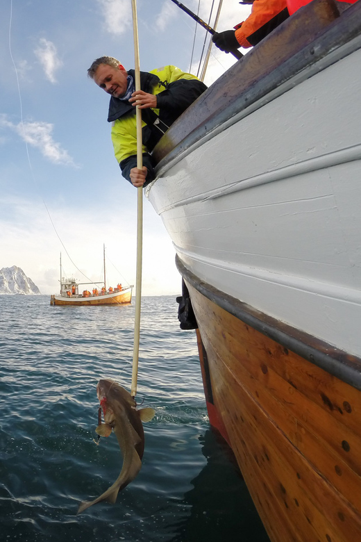 Lofoten: Traditional Fishing Trip