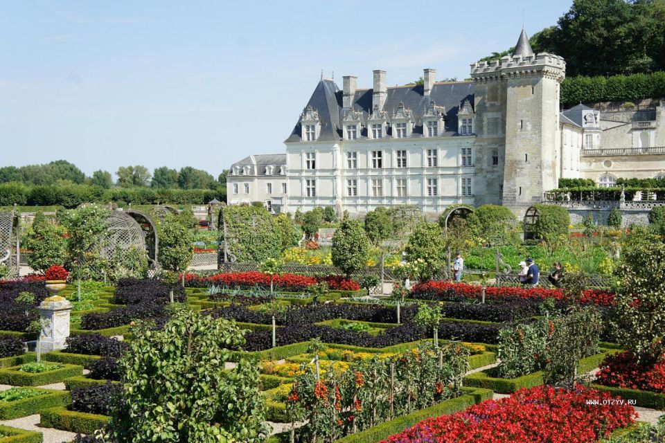 Loire Castles: Private Round Transfer From Paris - Overview of the Tour