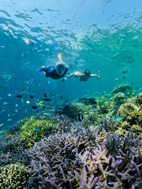 Lombok: Private Snorkeling at Gili Nanggu, Gili Sudak, and Gili Kedis.