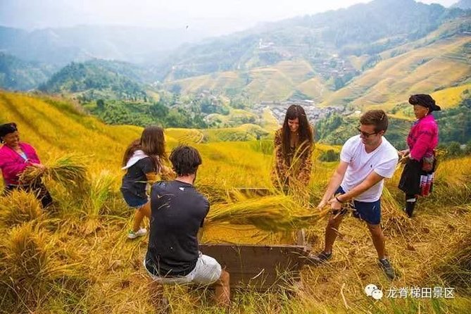 Longji Rice Terraces & Minority Villages Private Day Tour