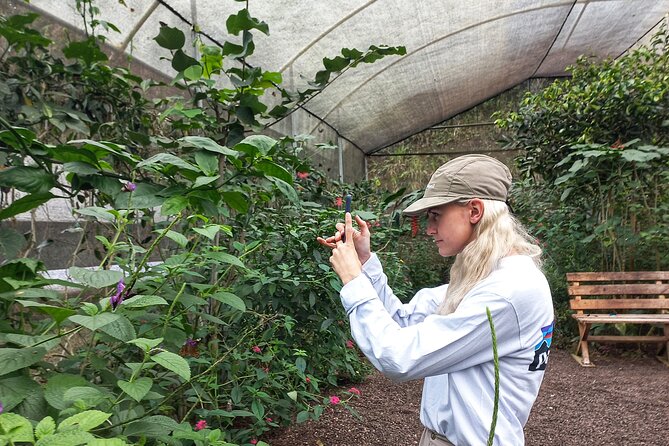 Looking for Nature Around Quito? Mindo Cloudforest Private Tour