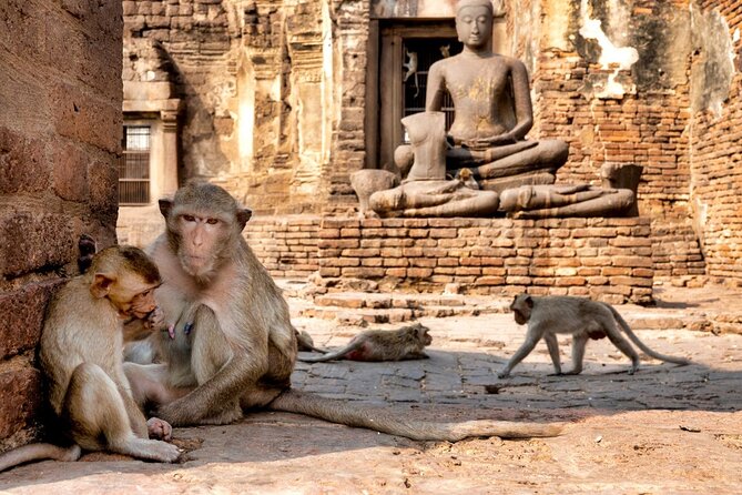 Lopburi Monkey Temple & Ayutthaya Old City Tour From Bangkok