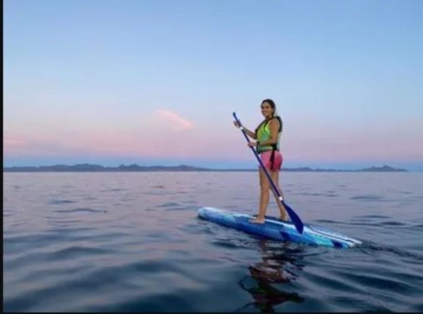 Loreto: Paddleboard Rental Service