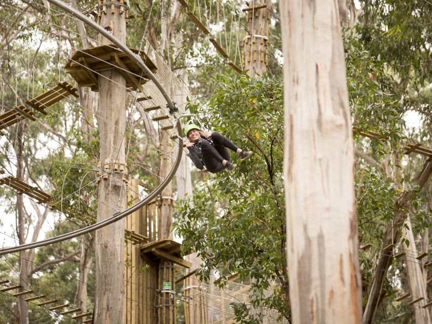 Lorne: Live Wire Park Ticket With Zip Line Rollercoaster