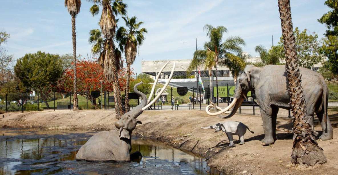 Los Angeles: La Brea Tar Pits Museum Ticket