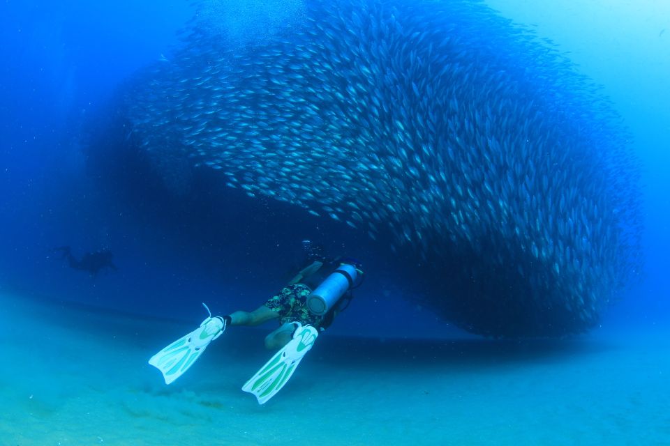 Los Cabos 3-Hour Certified Scuba Diving Tour