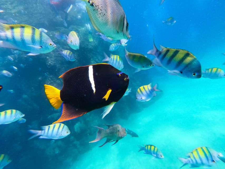 Los Cabos: Paddle to The Arch & Snorkel (Transport Included)