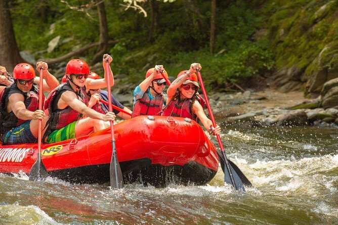 Lower Pigeon River Rafting Tour