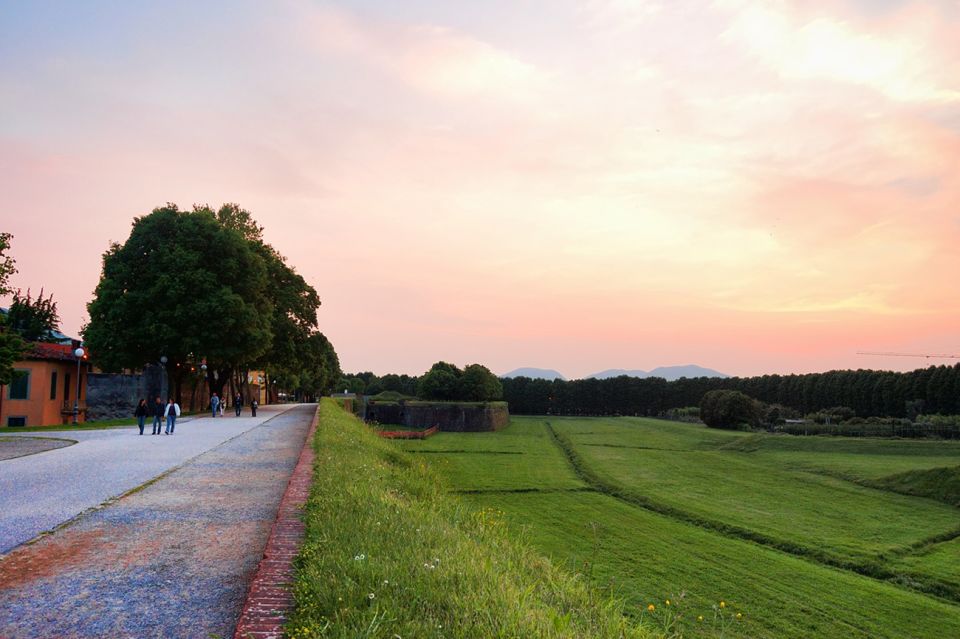 Lucca: Bicycle Rental With Picnic Lunch at a Vineyard