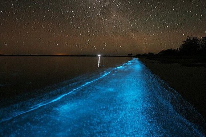 Luminous Lagoon Night-Time Tour From Montego Bay