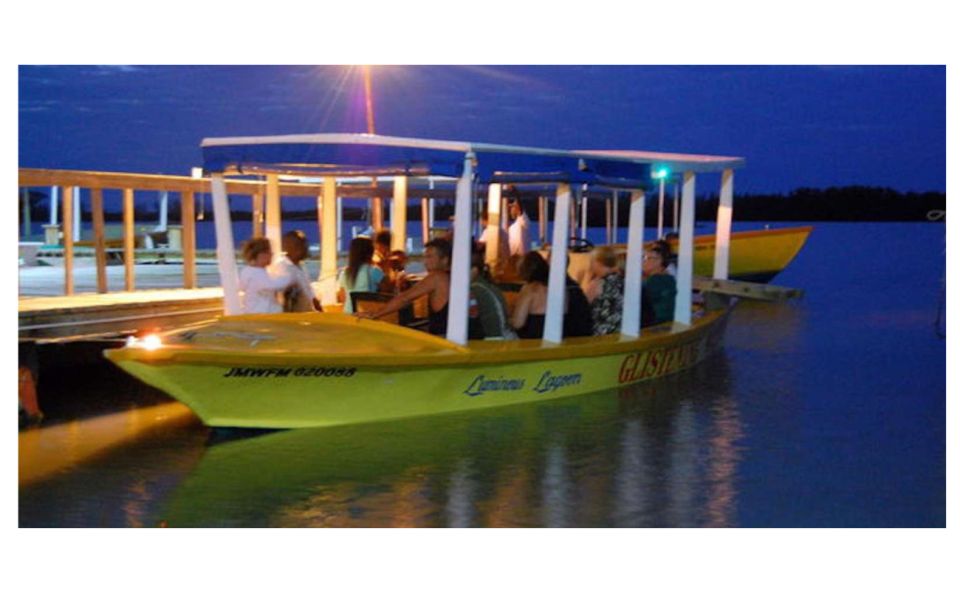 Luminous Lagoon Night Tour - Overview of the Luminous Lagoon