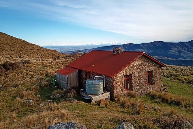 Lyttelton Shore Excursion -Guided Hiking Tour Packhorse Hut