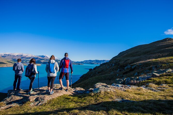 Lyttelton Shore Excursion – Guided Walking Tour and Picnic