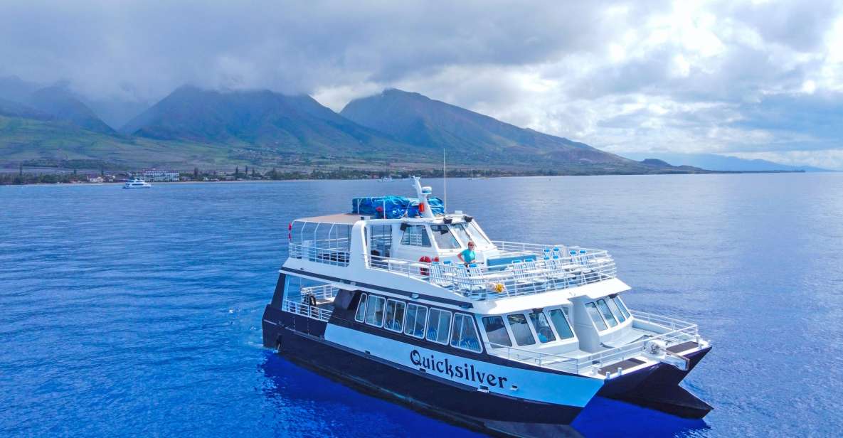 Maalaea Harbor: Whale Watching Catamaran Cruise - Activity Details