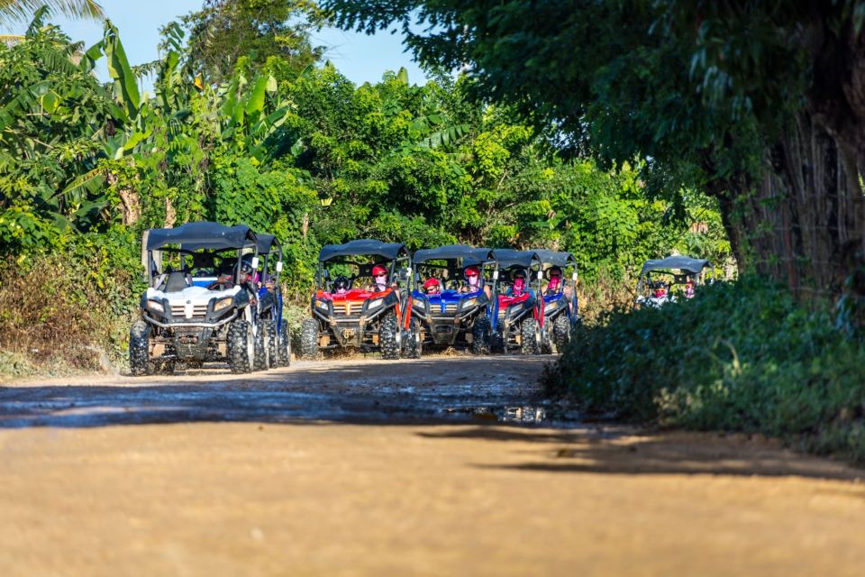 Macao Beach: Buggy Safari and Cenote Swimming With Pickup