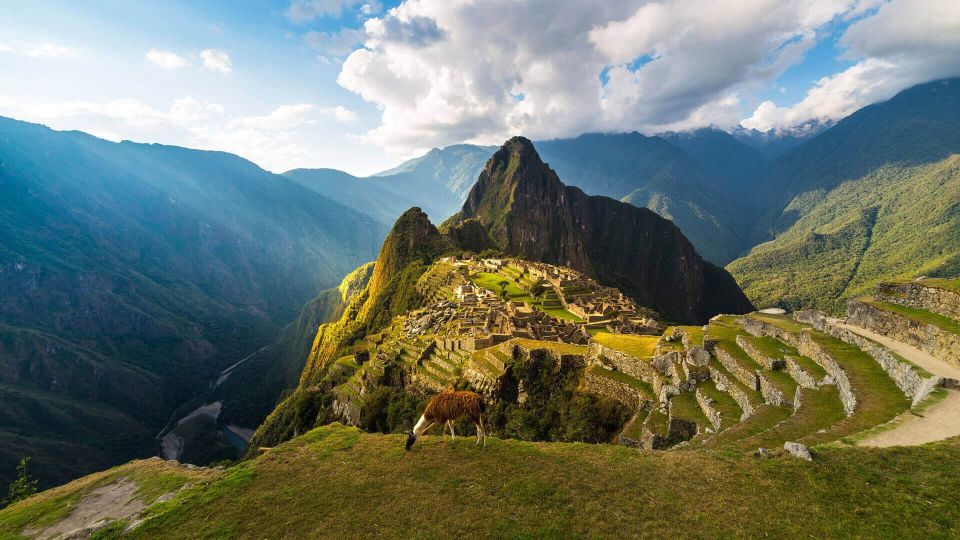 Machu Picchu 1 Day Adventure + Lunch