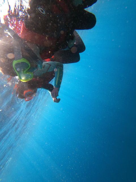 Madeira: Half-Day Coasteering Tour