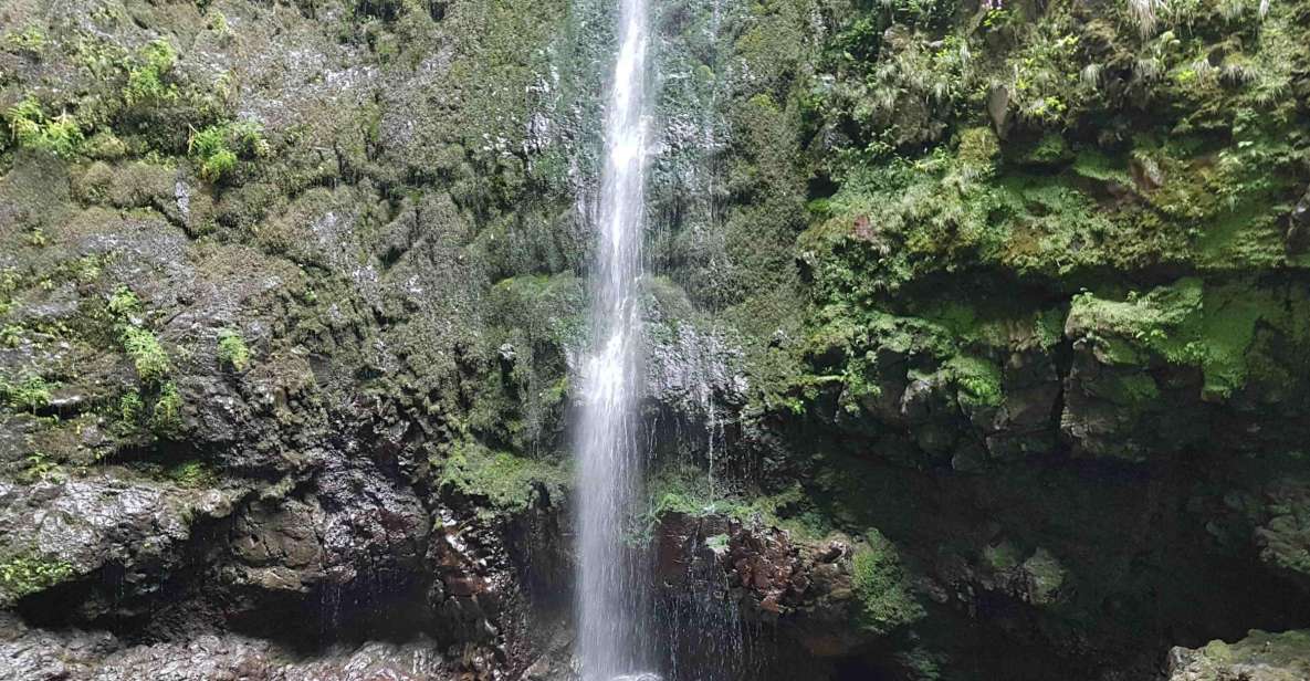 Madeira: Private Guided Levada Caldeir??o Verde Walk PR9