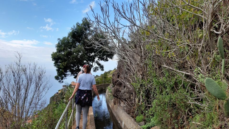 Madeira: Private Guided Levada Do Norte Walk