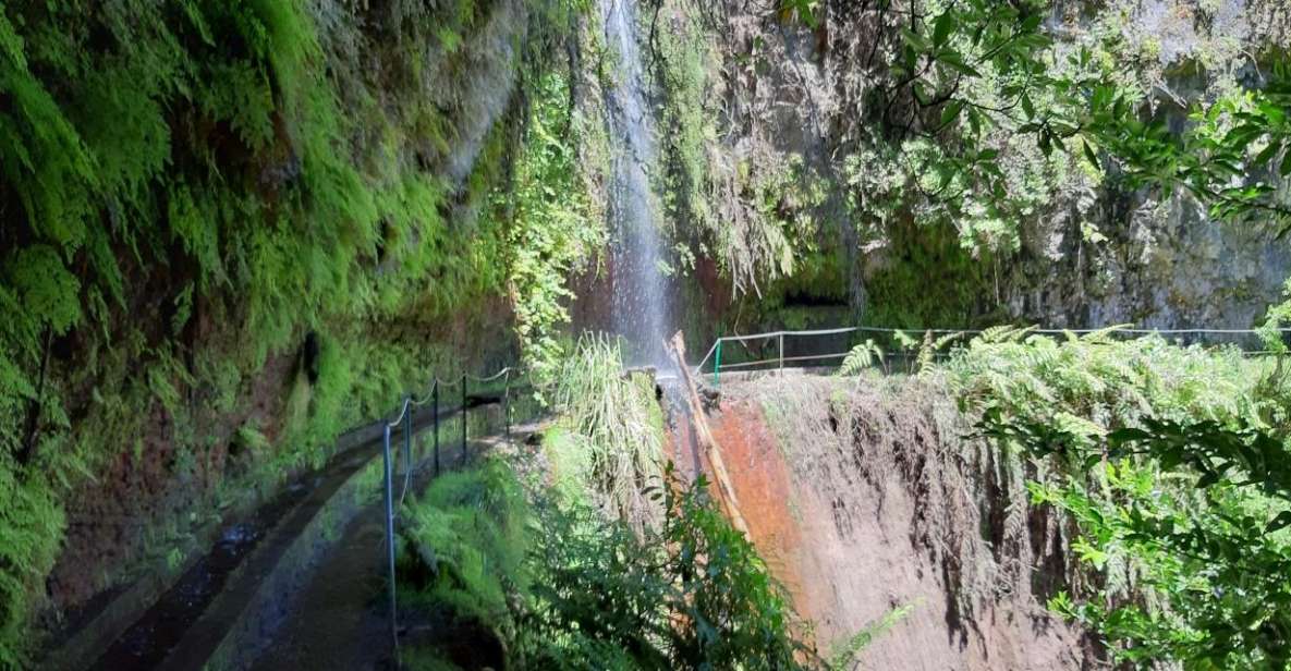 Madeira: Private Guided Levada Do Rei Walk PR18