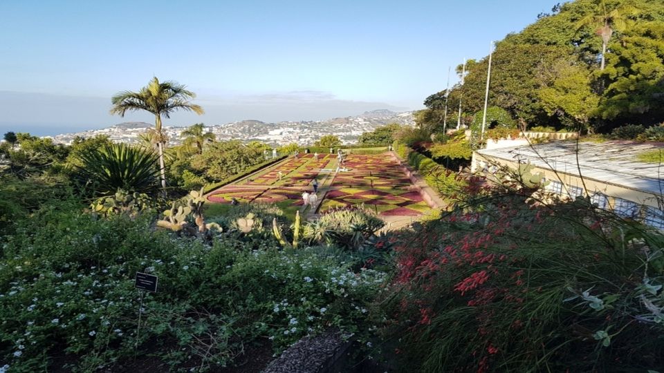 Madeira: Private Half-Day Guided Gardens Tour