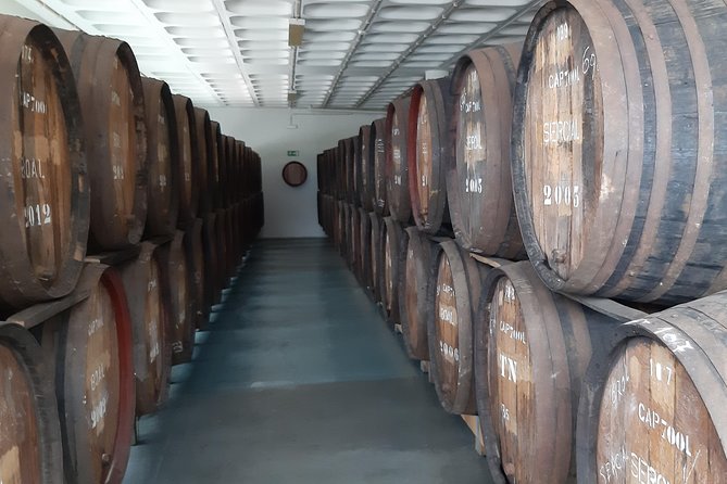 Madeira: Private Half-Day Wine Tasting Tour