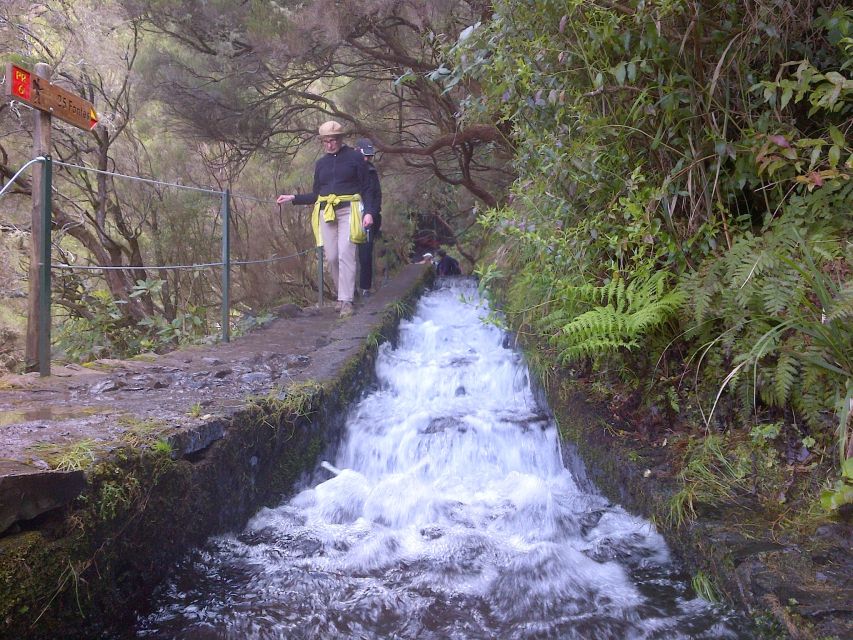 Madeira: Rabaçal Valleys 3-Hour Guided Walk - Tour Details