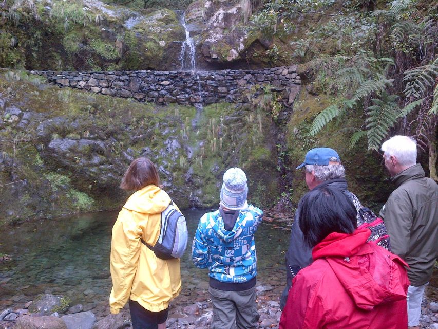 Madeira: Ribeiro Frio to Portela 4-Hour Guided Walk