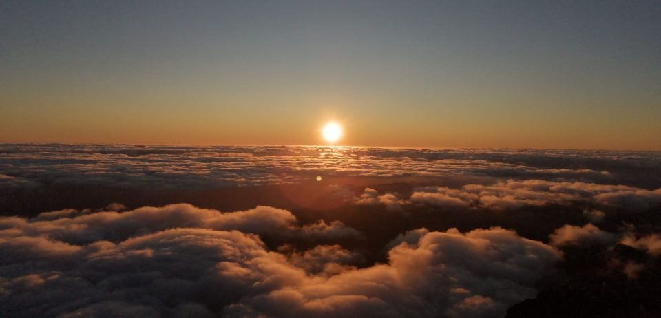 Madeira: Sunrise Half-Day Jeep Tour