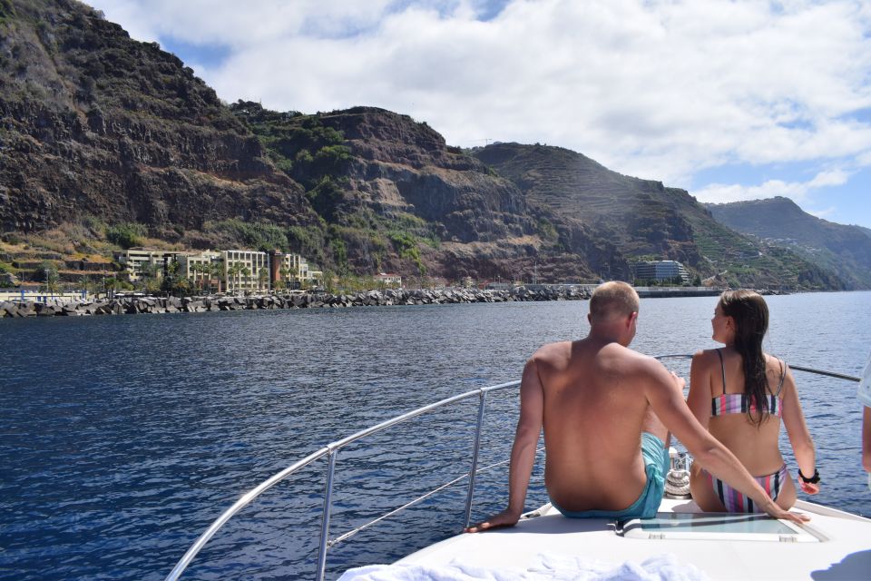 Madeira: Whale and Dolphin Watching Private Cruise