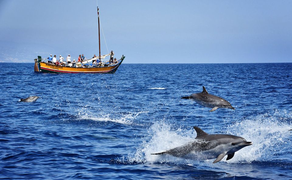 Madeira: Whale Watching Excursion in a Traditional Vessel - Activity Overview