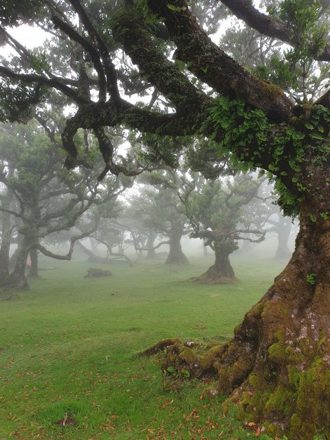 Madeira Wild West 4X4 Private Tour