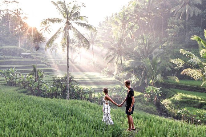 Magical Ubud Rice Terrace Tour (Private & All-Inclusive)