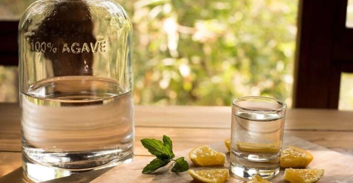 Mahahual: Authentic Mezcal & Tequila Tasting Experience