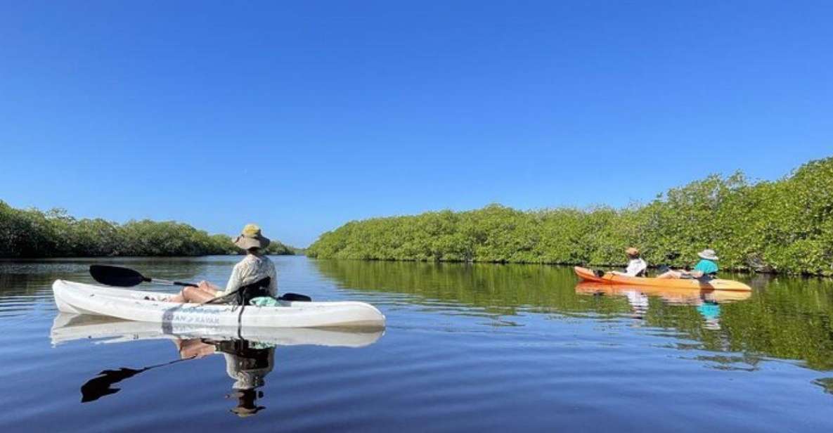 Mahahual: Kayaking in the Mangroves Experience