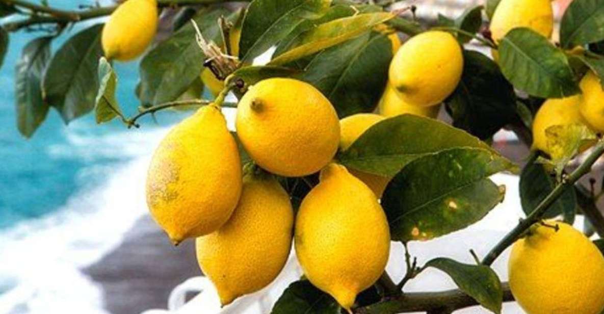 Maiori: Amalfi Coast Path of Lemons Day Trip With Tastings - Overview of the Day Trip