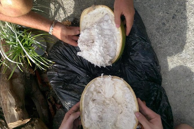 Make Your Own Wooden Bowl From the Fruit of Calabash, National Tree of St Lucia - Whats Included in the Class