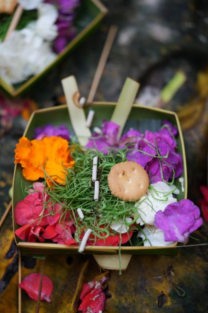 Making Offering and Ricefield Visit