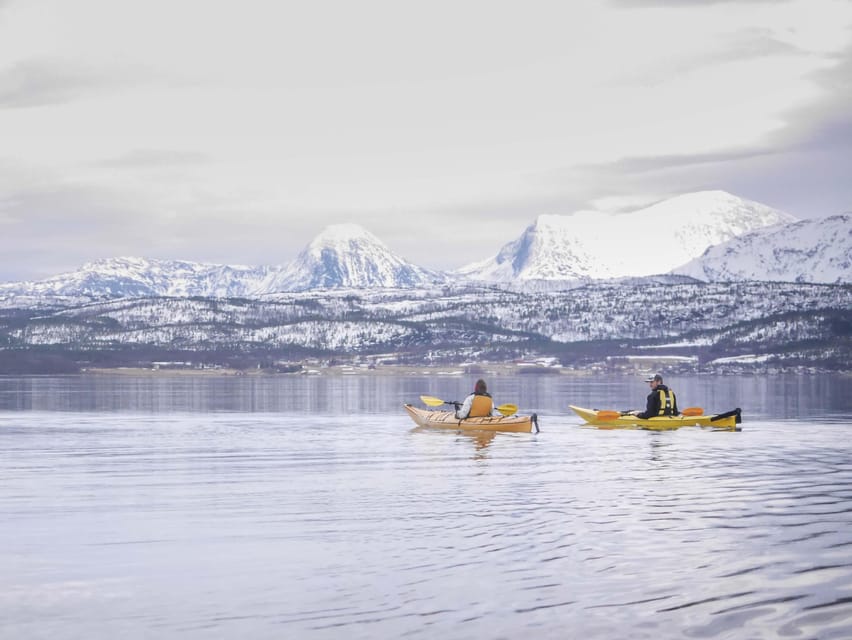 Malangen: Fjord Kayaking With Lunch