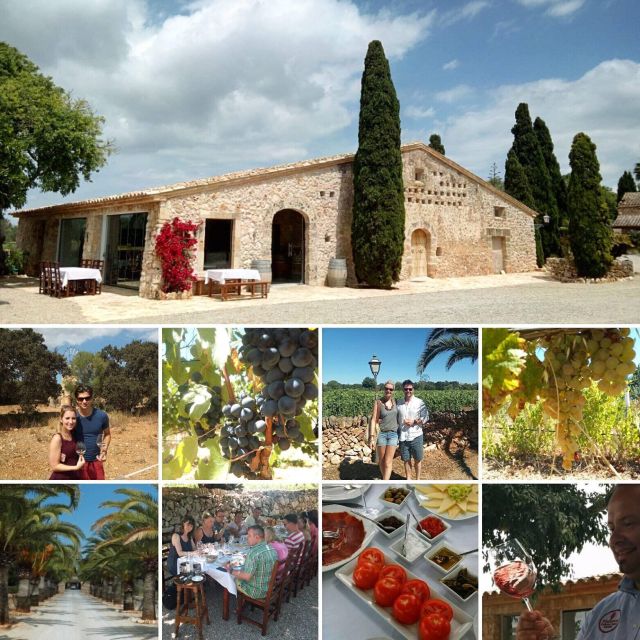 Mallorca: Private Wine Tour With Tasting and Picnic - Tour Overview