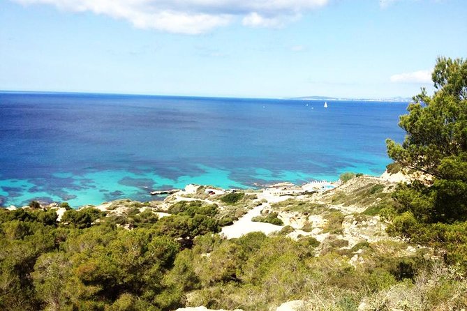 Mallorca: Try Scuba Diving in a Beautiful Nature Reserve